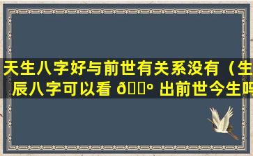 天生八字好与前世有关系没有（生辰八字可以看 🌺 出前世今生吗）